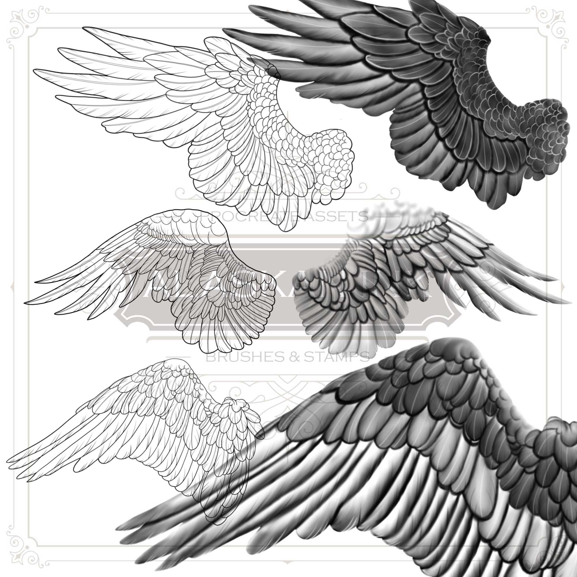 Tattoo design pictures of different stylized wings. Vector illustrations  fo... – MasterBundles