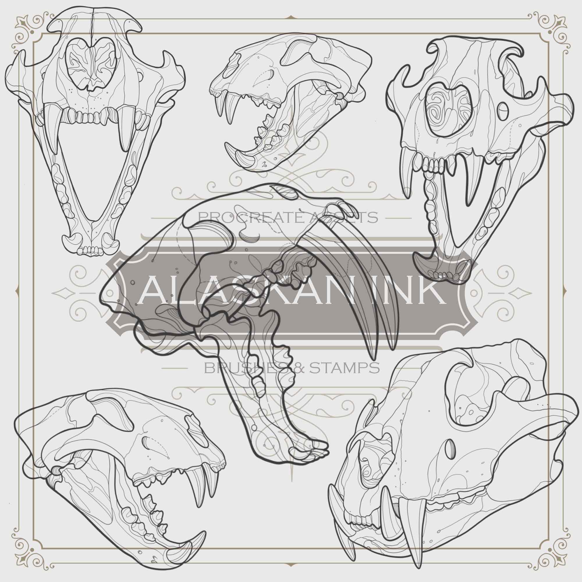 Animal skull with horns isolated on white background. Skull tattoo design  Stock Vector Image & Art - Alamy