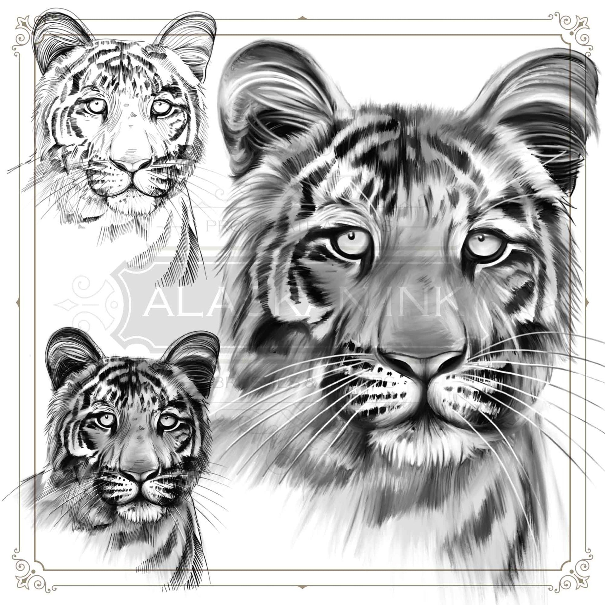 20 Realistic Tigers Tattoo brushes and stamps for Procreate app